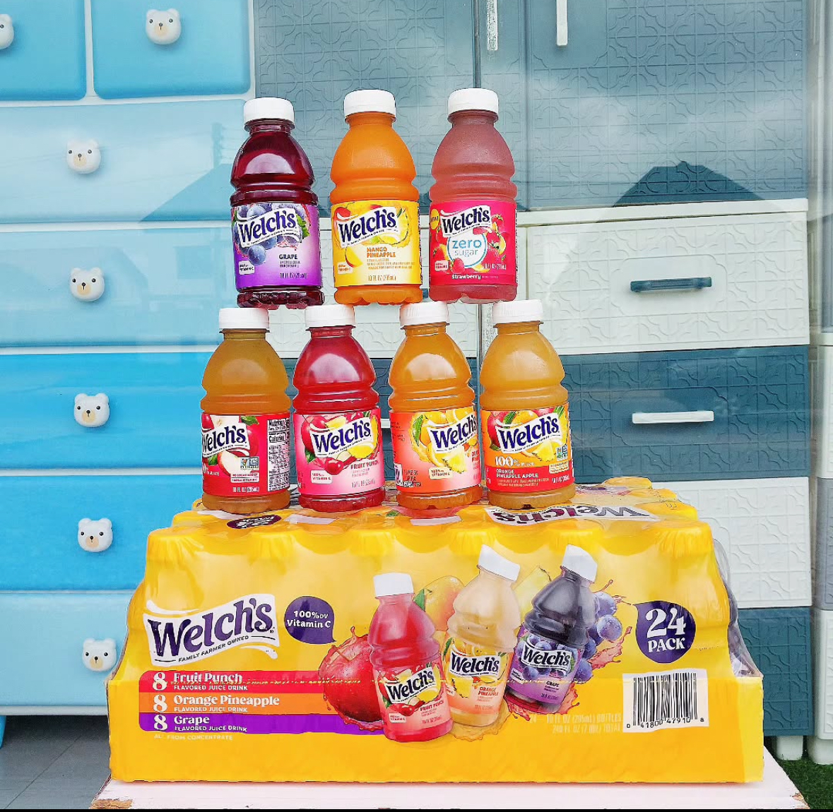 Welch’s Variety 24pk